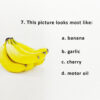 Picture Identification Test™ | PIT (STANDALONE) - Image 2