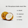 Picture Identification Test™ | PIT (STANDALONE) - Image 3